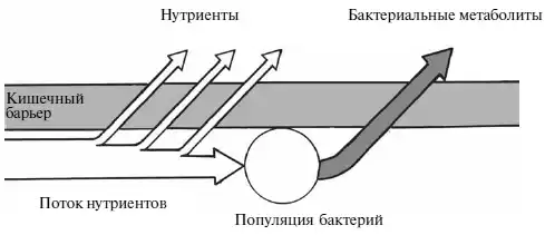 Диетология: Руководство.