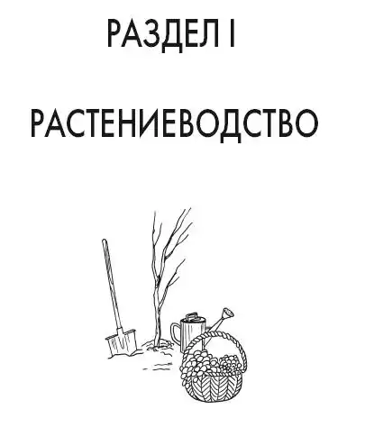 ����� � �������.