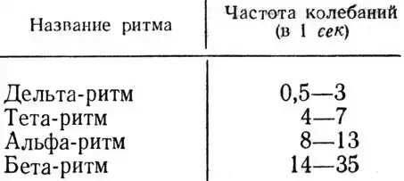 Физиология человека.