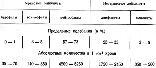 Физиология человека.