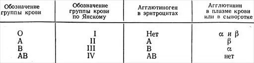 Физиология человека.