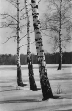 Фотокомпозиция.