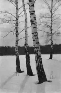 Фотокомпозиция.