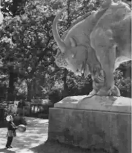 Фотокомпозиция.