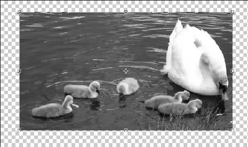 Фотоприколы с помощью Фотошоп.
