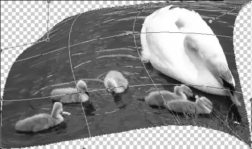 Фотоприколы с помощью Фотошоп.
