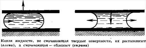 Капля.