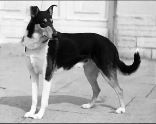 �����.