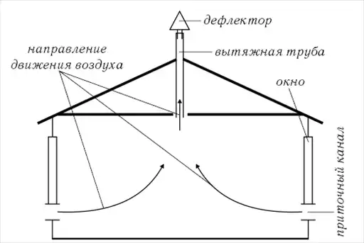 Кролики.