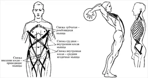 Массаж и лечебная физкультура.