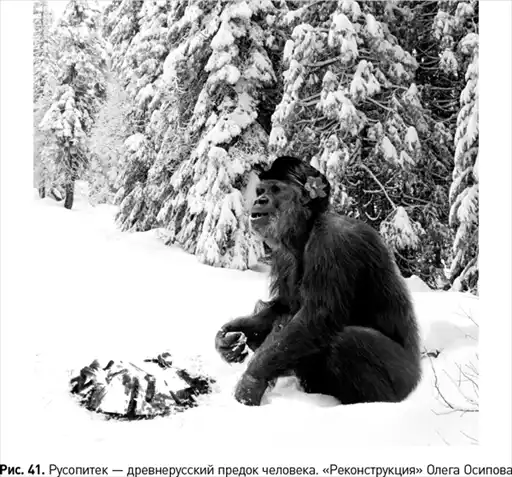 ���� �� �������� ��������.