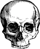 ��������. Encyclopedia Pathologica.