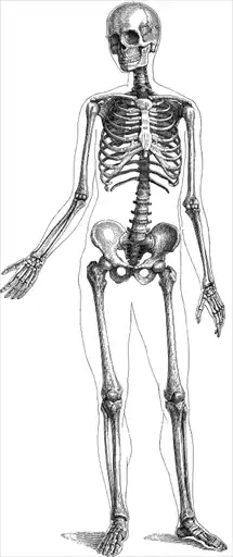 ��������. Encyclopedia Pathologica.
