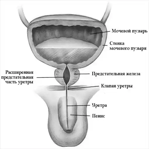 Мой маленький. От рождения до 5 лет.