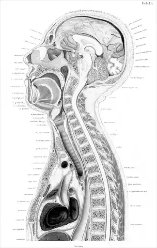����. ����� ������.