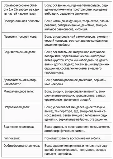 Основные области мозга, обрабатывающие болевые сигналы.. Глава 1. Врач, излечи себя! Мозг, исцеляющий себя. Реальные истории людей, которые победили болезни, преобразили свой мозг и обнаружили способности, о которых не подозревали.