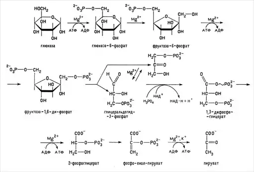 ������� � ����� ����������.