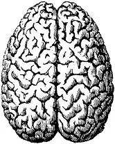 �� �����!