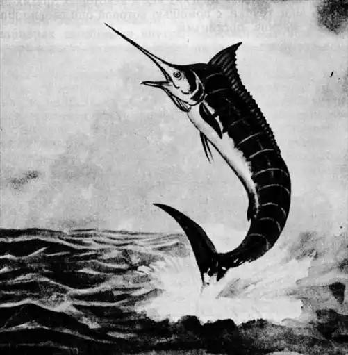 Обитатели бездны.