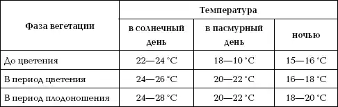 Отличный урожай круглый год.