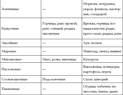 Отличный урожай круглый год.