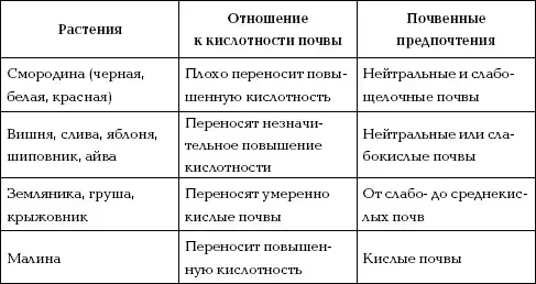 Отличный урожай круглый год.