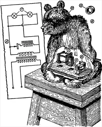 ������-�������������.