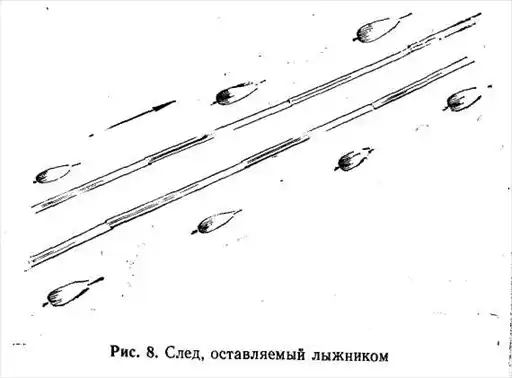 4. Следопытство. Подготовка войскового разведчика.