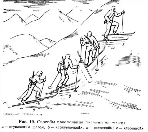 4. Следопытство. Подготовка войскового разведчика.