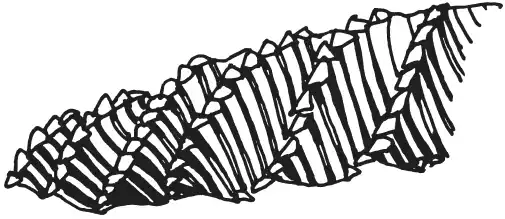 Поделки из соломки.