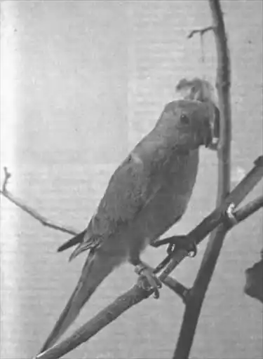 �������.