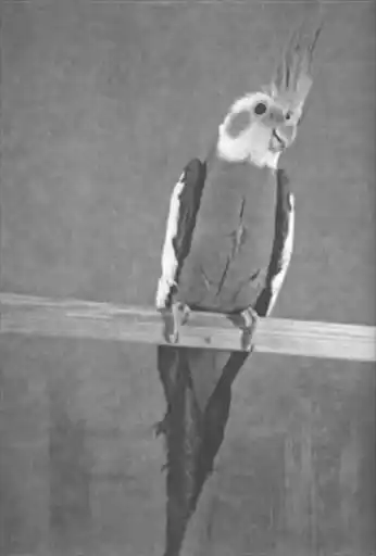 �������.