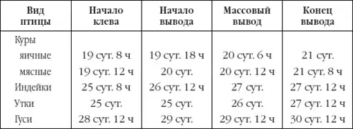 Приусадебное птицеводство.