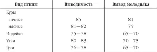 Приусадебное птицеводство.
