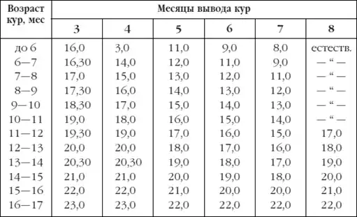 Приусадебное птицеводство.