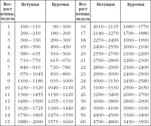 Приусадебное птицеводство.