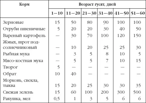 Приусадебное птицеводство.