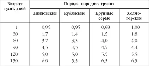 Приусадебное птицеводство.
