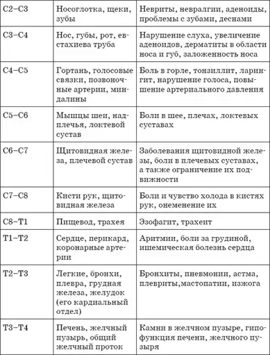 Первая скрипка позвоночника.