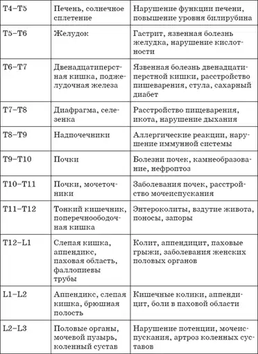 Первая скрипка позвоночника.