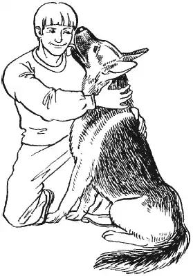 �������������� �����.