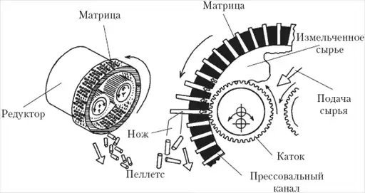 Шиншилла от А до Я.