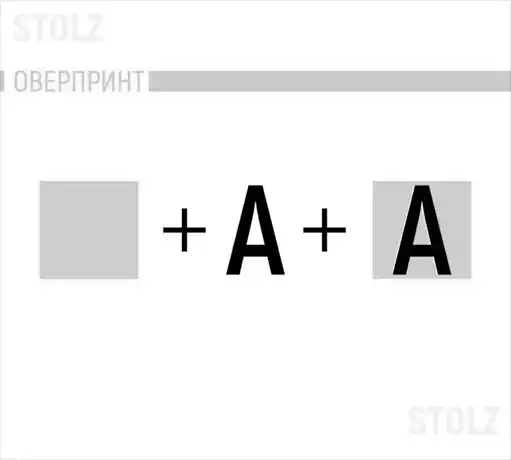 STOLZ � ����������� �������.