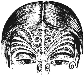 ����� ������ ����������.
