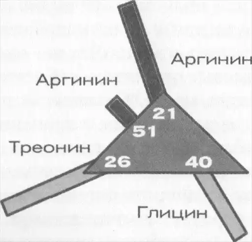 Сердечный центр.