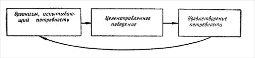 Тайны инстинкта.