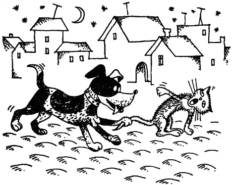 ����� ������.