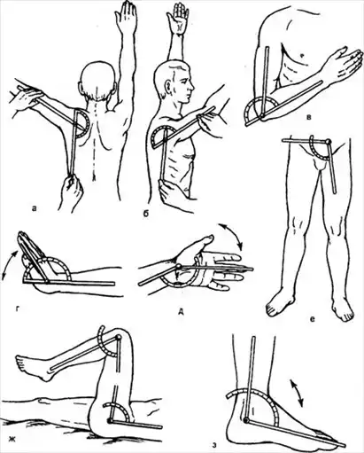 �������������.