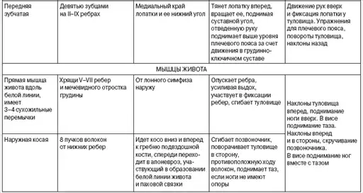 Теория и методика оздоровительной физической культуры.