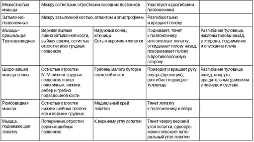 Теория и методика оздоровительной физической культуры.